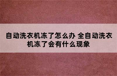 自动洗衣机冻了怎么办 全自动洗衣机冻了会有什么现象